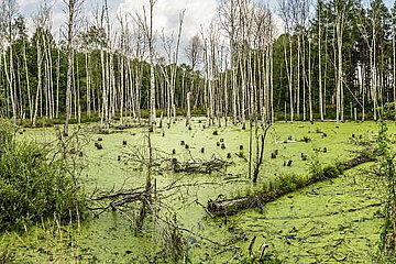 Image-14702