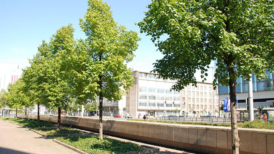 naturbasierte Lösungen