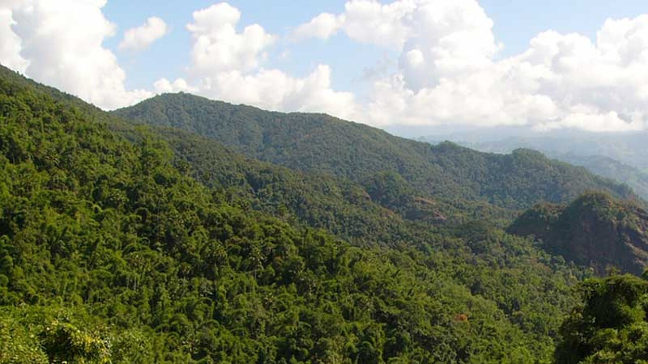 Naturreservat in China