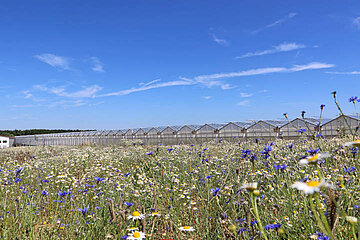 Image-14110