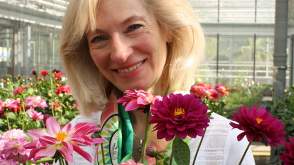 Dahlien-LWG
