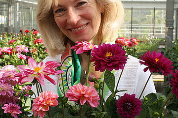 Dahlien-LWG