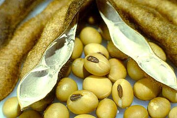 Image-6140