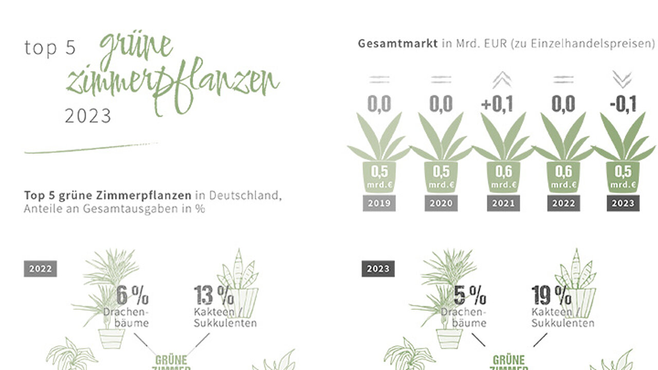 Grüne Zimmerpflanzen