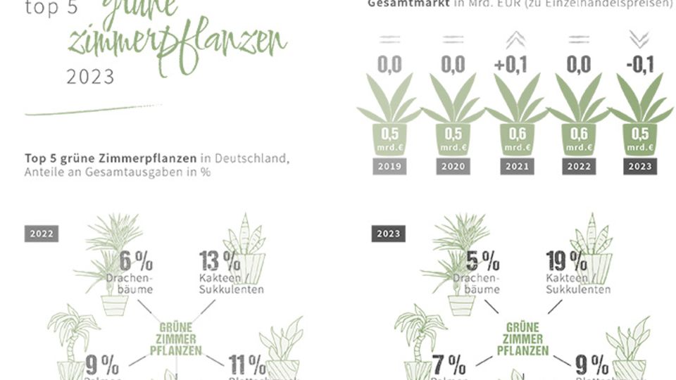 Grüne Zimmerpflanzen