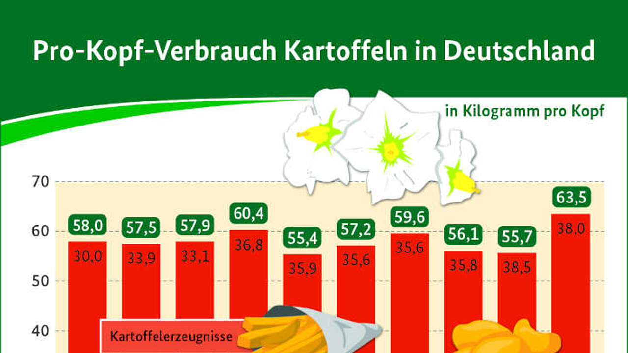 Grafik