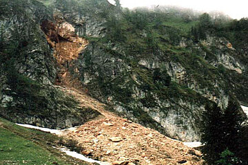Felssturzablagerunge