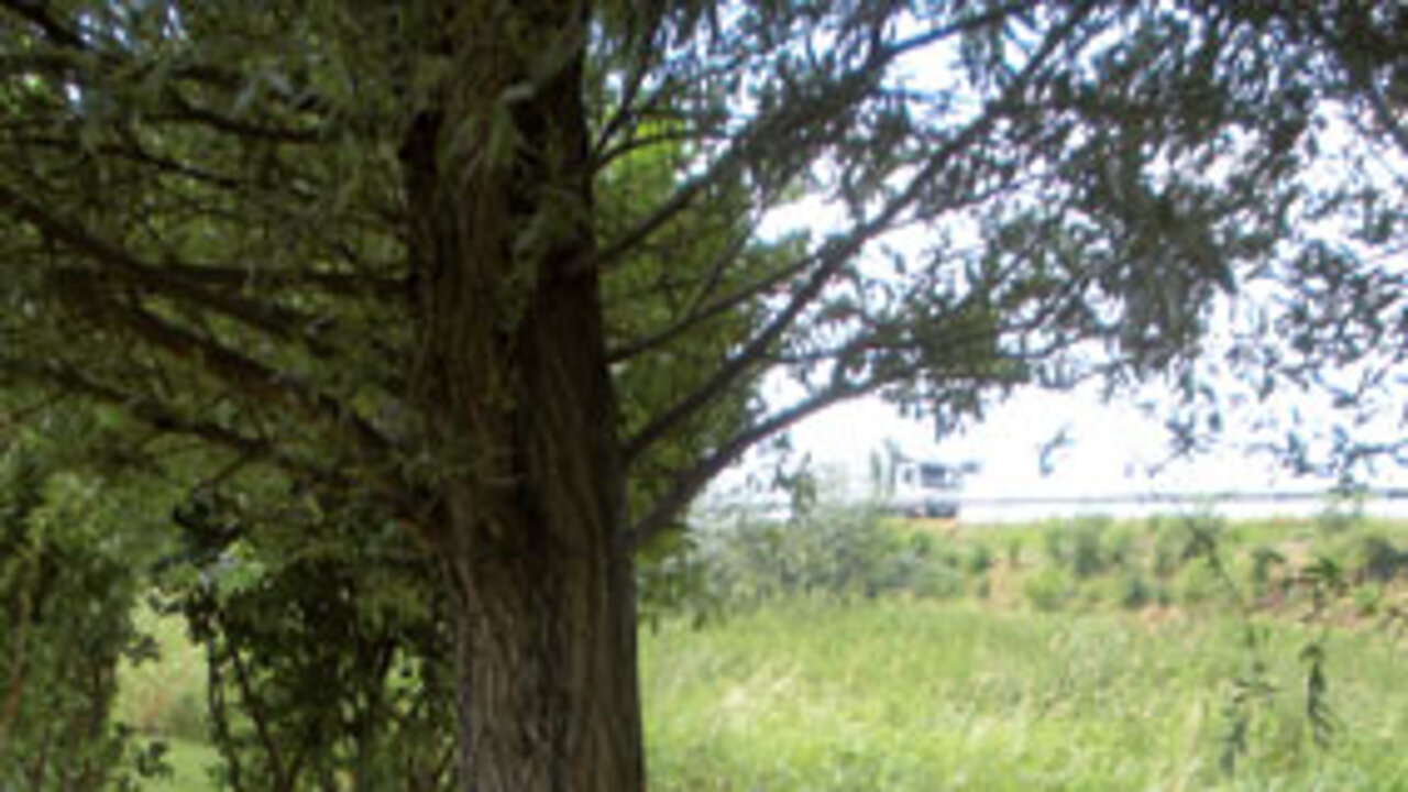 HS-Bewässerungswinkel