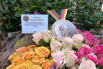 Goldmedaille der Deutschen Bundesgartenschau-Gesellschaft