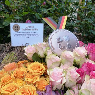 Goldmedaille der Deutschen Bundesgartenschau-Gesellschaft