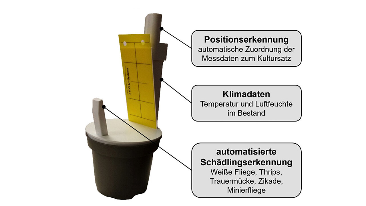 Intelligenter Blumentopf - Hochschule Osnabrück