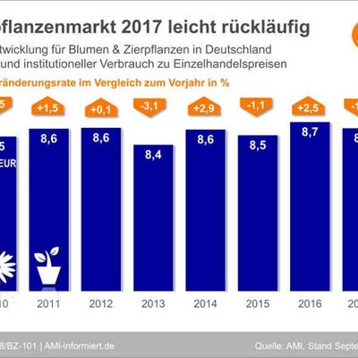 Marktentwicklung von Blumen- und Zimmerpflanzen