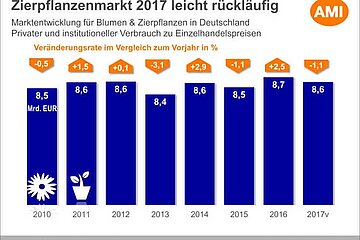 Marktentwicklung von Blumen- und Zimmerpflanzen
