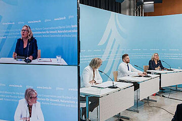 Image-13310