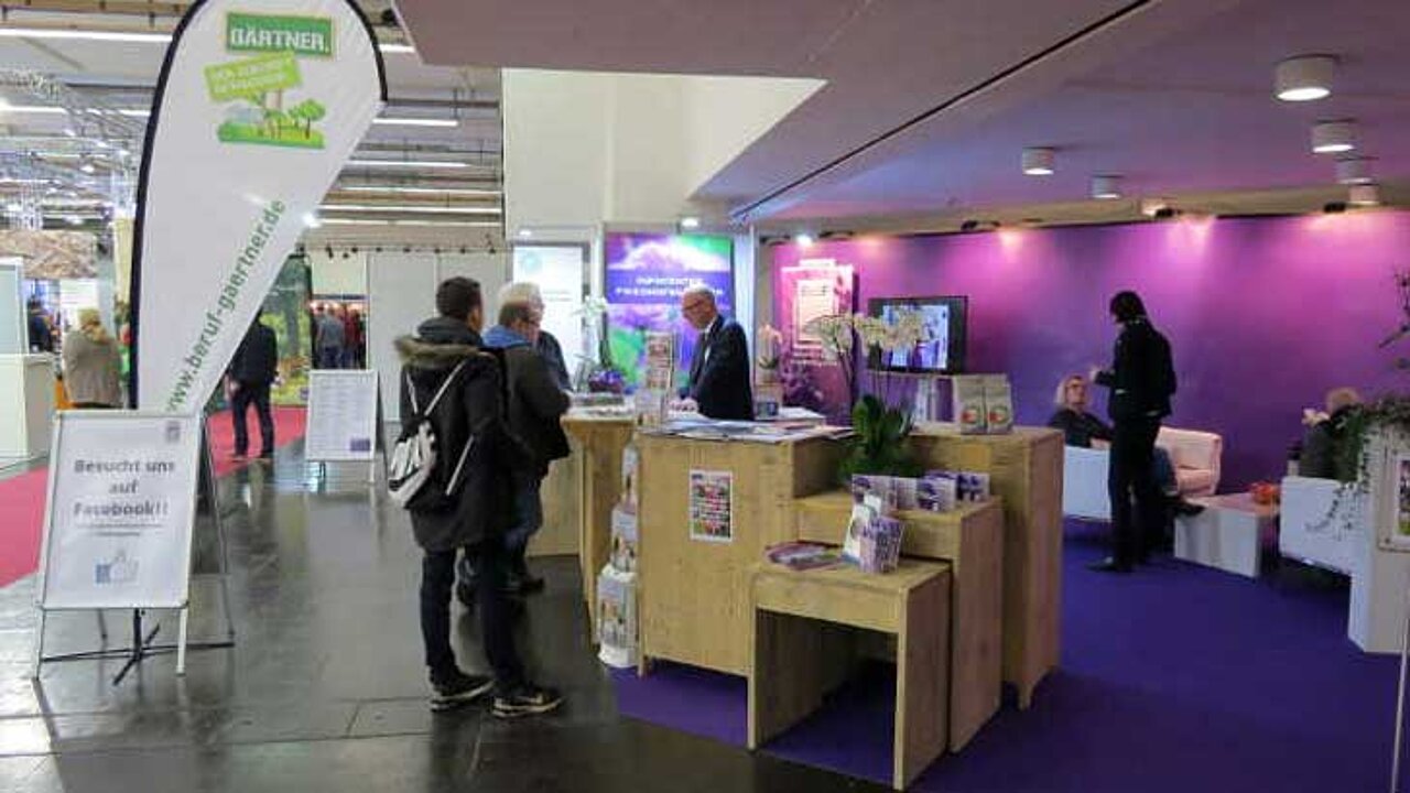 Stand des BdF und der GdF