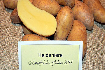 Heideniere