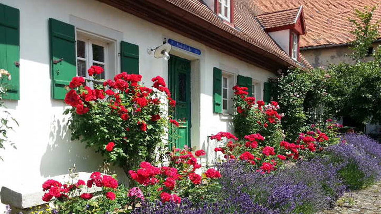 Lavendel und Rosen