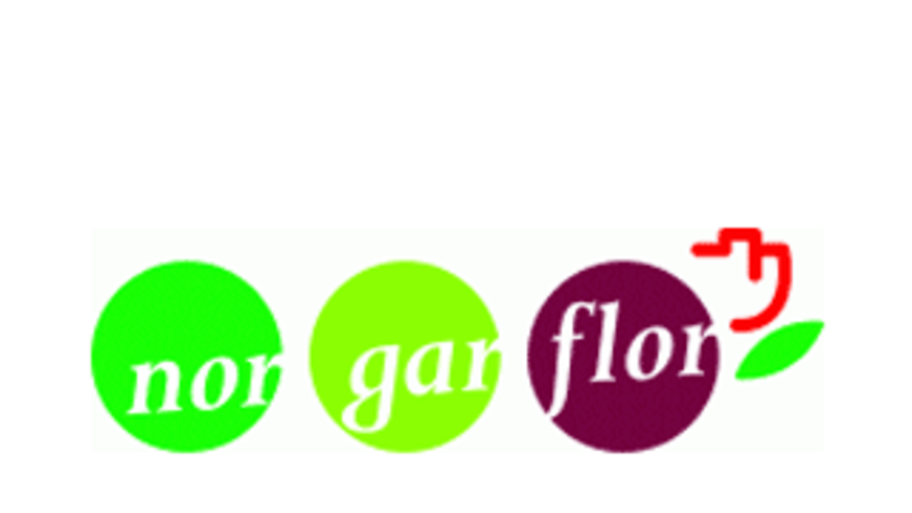 Norgarflor Logo