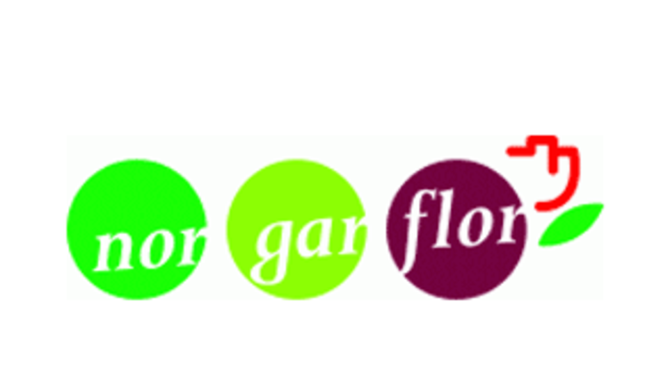 Norgarflor Logo