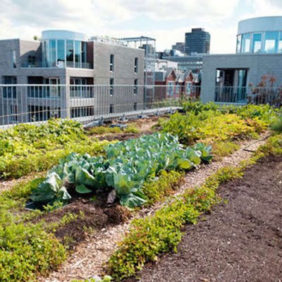Gartenbau