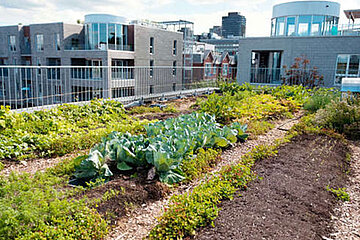 Gartenbau