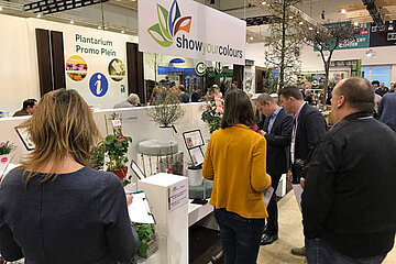 Show Your Colours Award