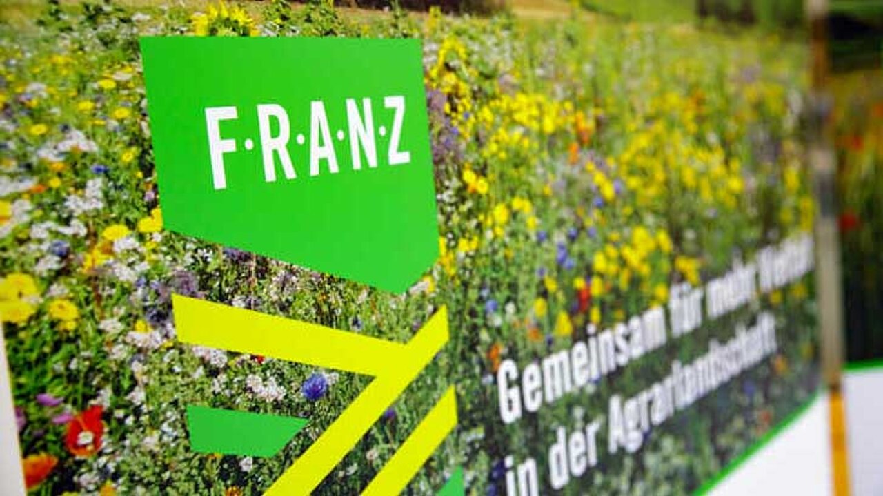Projekts F.R.A.N.Z.