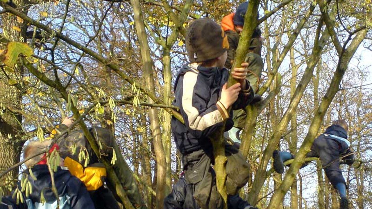Kinder im Wald
