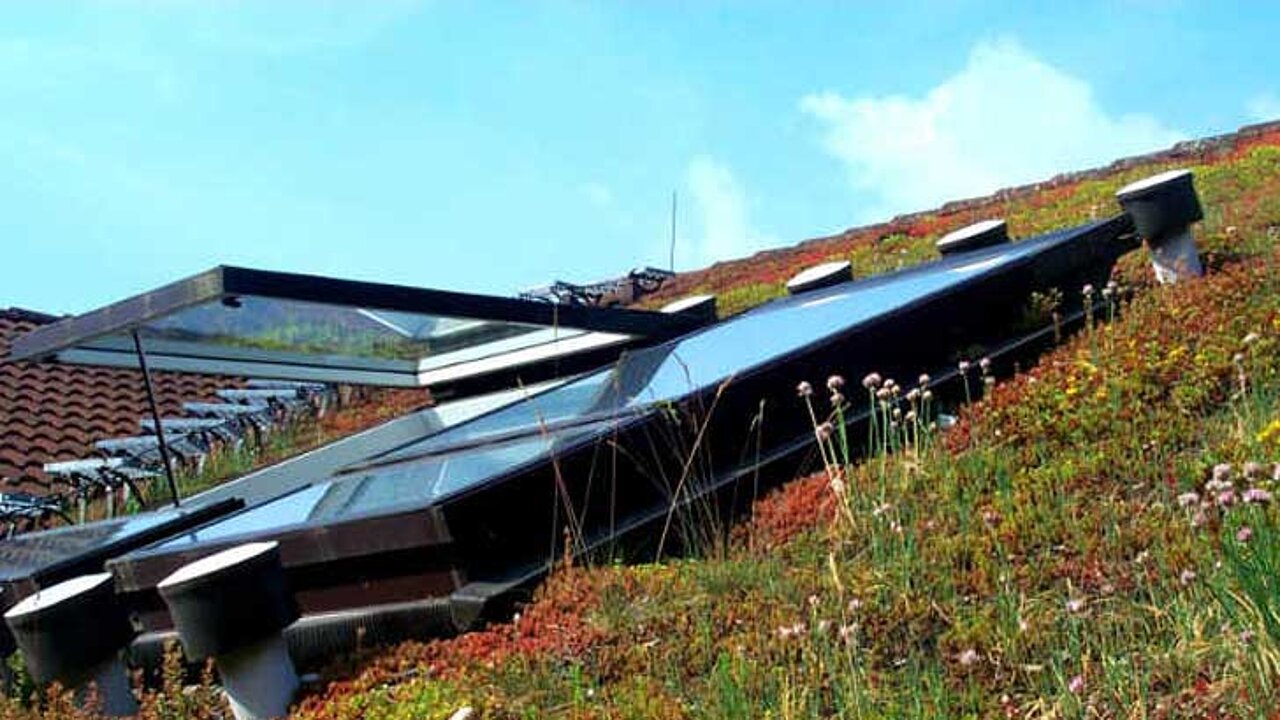 image-7677