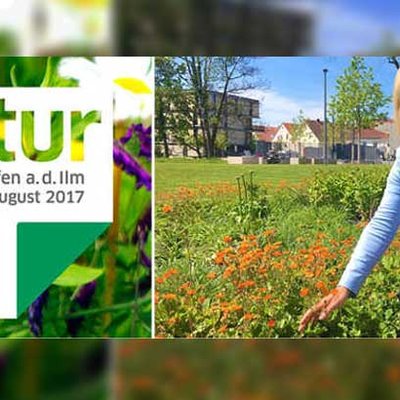 Festtage für Pfaffenhofen