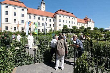 Sichtschutz