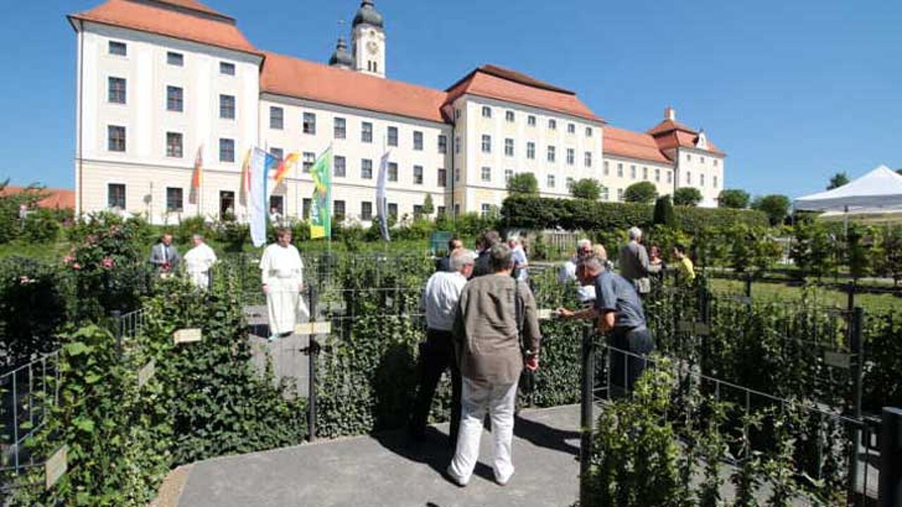Sichtschutz