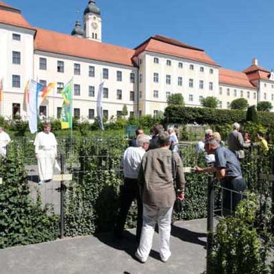 Sichtschutz