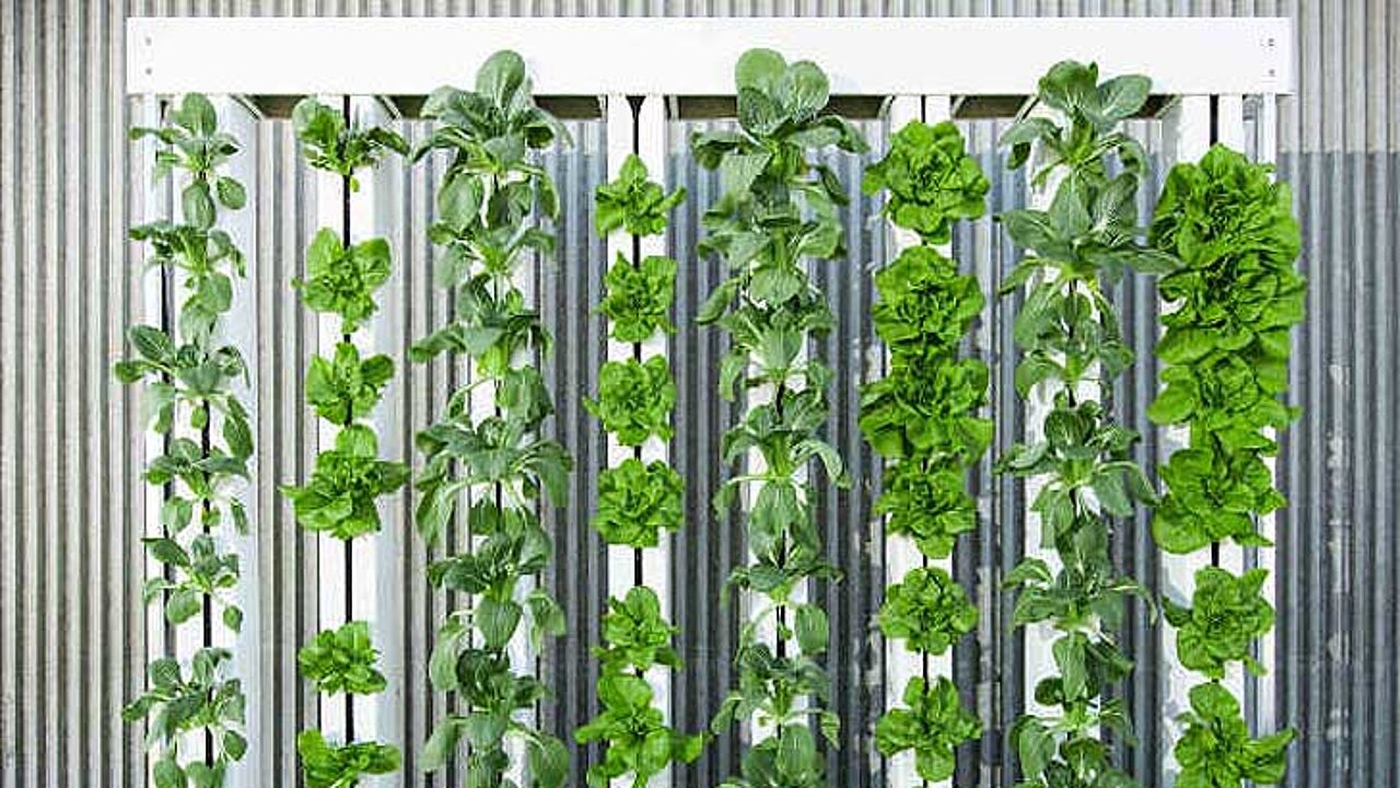 Zip Grow