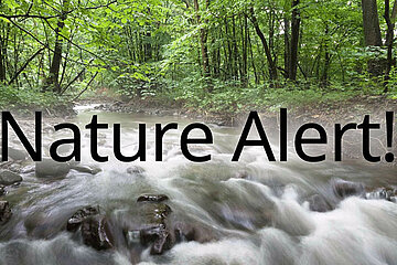 Nature Alert