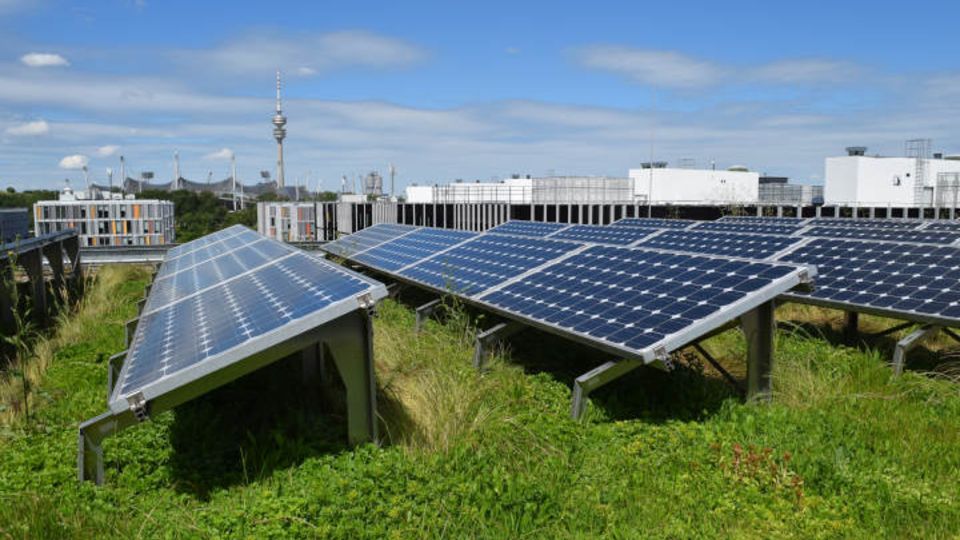 Dachbegrünung und Photovoltaik