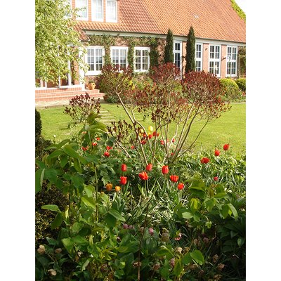BGL Gartengestaltung Traumgarten