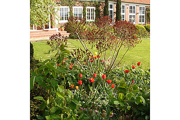 BGL Gartengestaltung Traumgarten