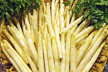Spargel