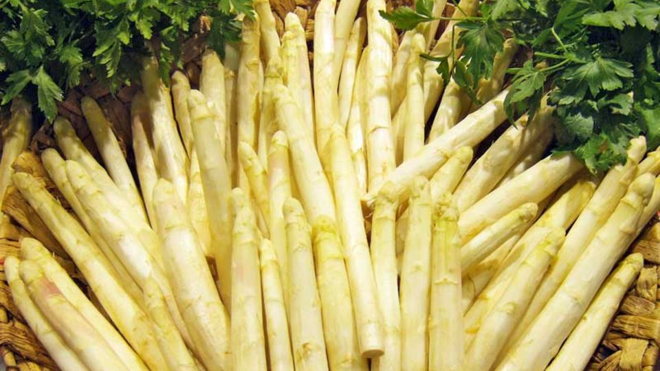 Spargel