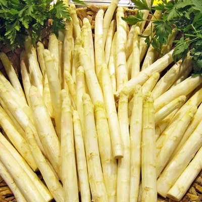 Spargel
