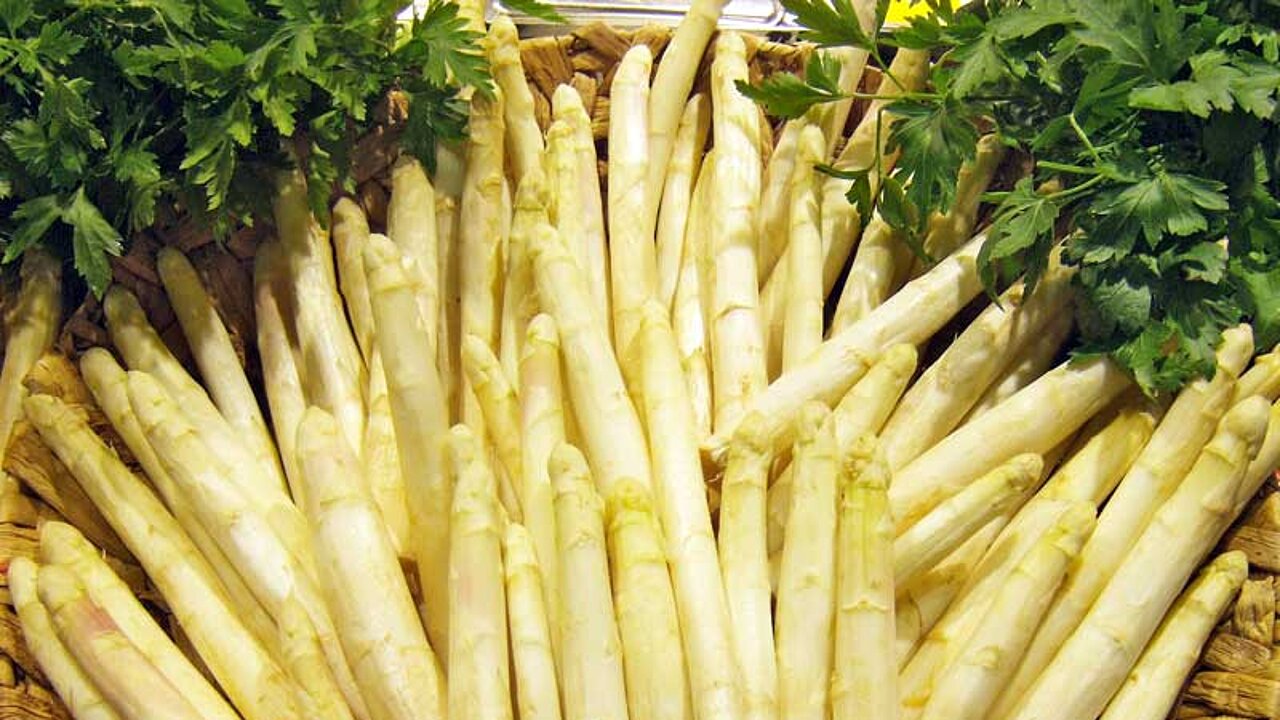 Spargel