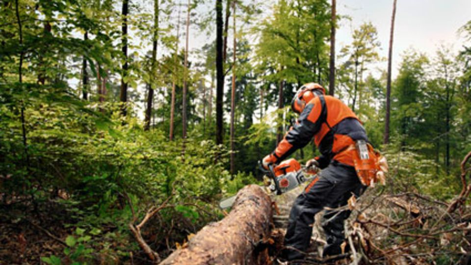 Stihl-Motorsäge