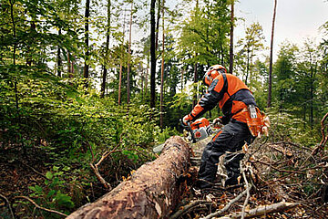 Stihl-Motorsäge