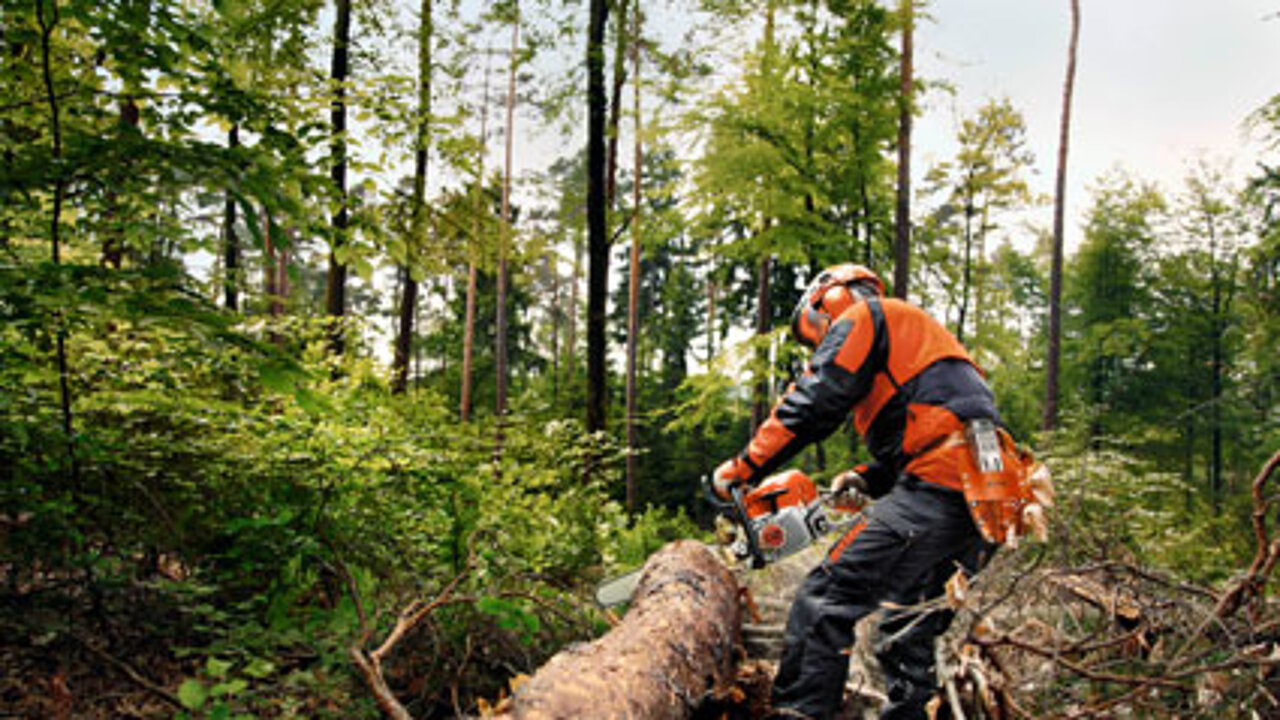 Stihl-Motorsäge