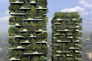 vertikaler Wald
