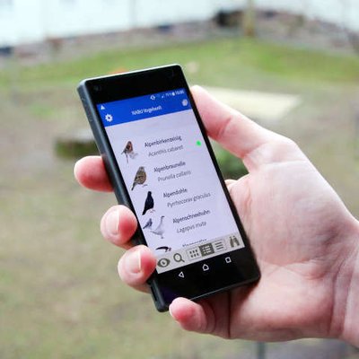 Vogelsbestimmungs-App