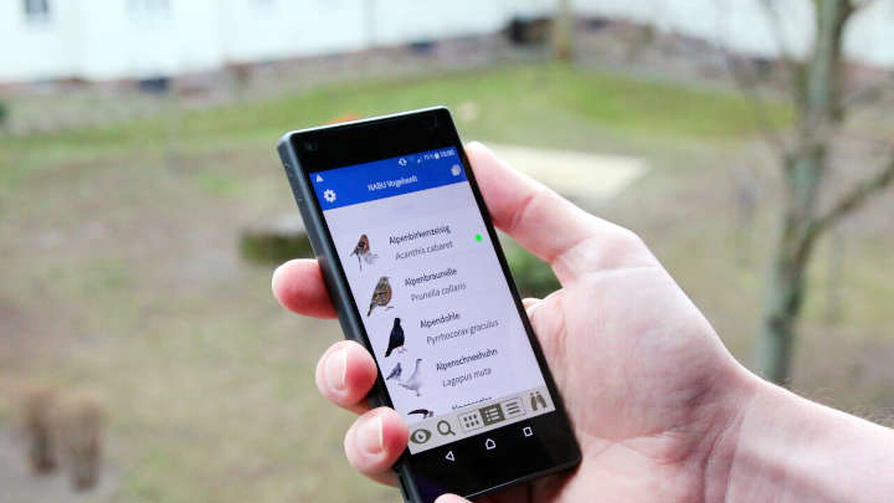 Vogelsbestimmungs-App