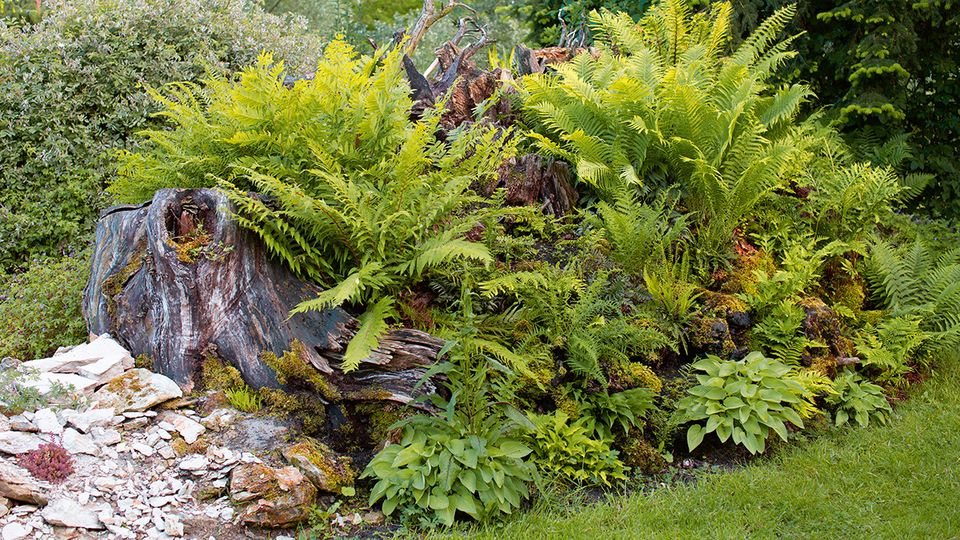Second-Life-Holz - Wilder Garten
