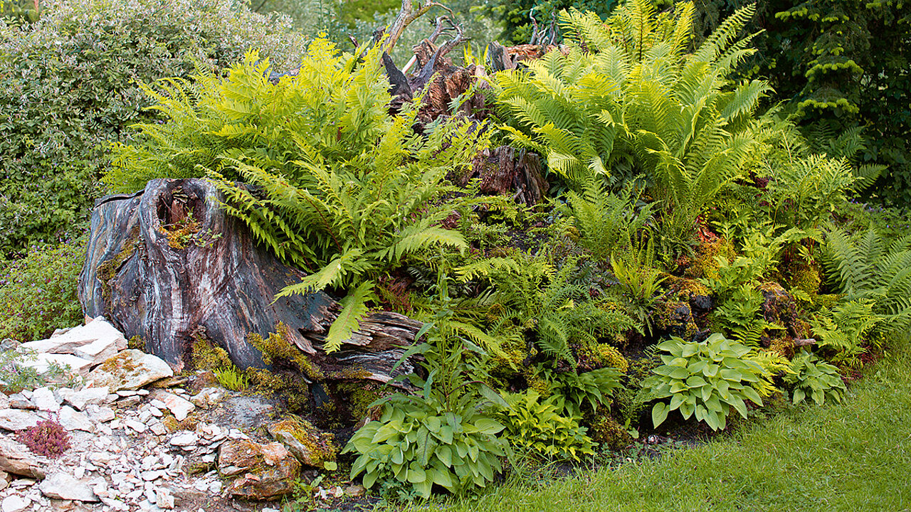 Second-Life-Holz - Wilder Garten